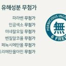제니의 인셀덤 네이버블로그