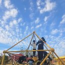 코리아 탑 태권도장 이미지