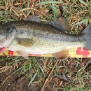 청도천2 이미지