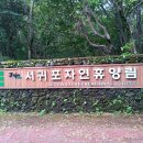 서귀포자연휴양림 이미지