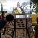 광교청소년수련관_3 이미지