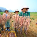 단성축산 이미지