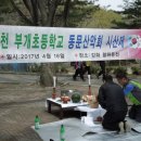 인천부개초등학교 이미지