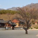 표충사2 이미지