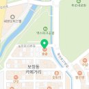 한끼의행복쏭쏭카페 | 도미관자와 돼지고사리로 만족한 한 끼, 솔솥 용인보정카페거리점 보정카페거리맛집 후기