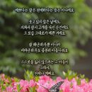 비 처럼 음악처럼, 사랑 했어요. 이미지