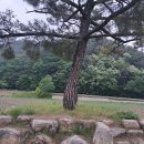 백포마을회관 네이버블로그