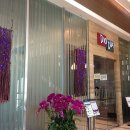 디오디아(DIODIA) 이미지