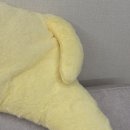 미뇽캣 | 카카오톡선물추천 미뇽맨션 뚱냥이 귀여운 바디필로우 캣 쿠션 후기