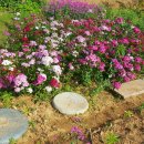 서해8농장 이미지