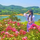 CW-1348-01 이미지