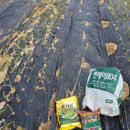 새순2농장 이미지