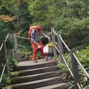 중국인 '대변 테러' 벌써 4번째…이번엔 '한라산 용변 소년' 등장 이미지