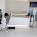 송파 마리동물병원 이미지