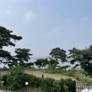 도우제펜션 이미지