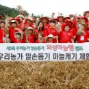 홍캠프