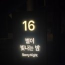 빛나는휴카페 | 서울에서 이런 트리하우스가 있다고? 수락산 동막골 자연휴양림 '수락휴' 16호 별이 빛나는 밤 후기
