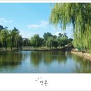 용산가족공원 Daum카페