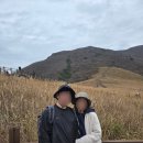 주정차-11 | 울산 간월재 최단 코스 11월 억새 초보자 후기 (주차장, 소요시간)