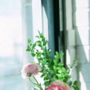 푸른세상 이미지