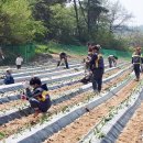 진천군농기계임대사업장 이미지