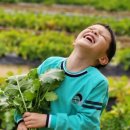 리라어린이집 이미지