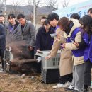 효성케어 이미지