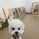 오조화실