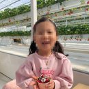 익산궁동초등학교병설유치원 | MTA송암태권도 익산 딸기역 체험학습/영등동태권도/익산태권도/부송동태권도/어양동태권도