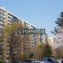 압구정-117 이미지