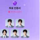율라이팅