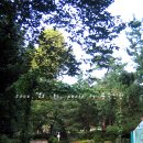 삼청공원 정문 이미지