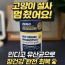 이자매펫미용원 | 🐾 [인디고] 고양이유산균 추천, 토로·토미의 장건강 지킴이 인디고 펫 오리진 프로바이오틱스 후기