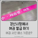 경산시청 종합민원실 | 5개월 아기 경산시청 여권 발급 도전! 셀프 여권 사진 실패ㅎㅎㅎ사진 패스 기준은?♡