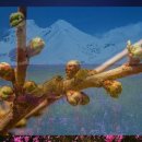 현대식품 이미지