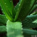 웰피부과