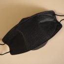 주식회사 녹색약품 | 세이프에어 황사방역 마스크 KF94 대형 아쉽! by 에스케이엘