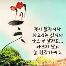 6월24일 수요일 출석부 명언 이미지