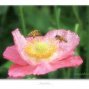 형제 목욕탕 이미지