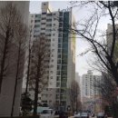 자생당약국 이미지