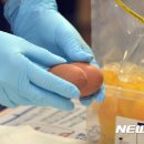 이병찬농장 이미지