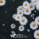 꽃향기 이미지