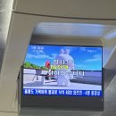 대전 당일치기 (2023.10.02)