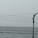 동해애견센터 이미지