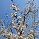 어진동_호수공원수변공원 이미지