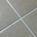 파라디아2차 이미지