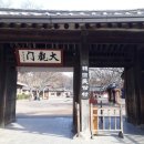 한국민속촌수영장 이미지