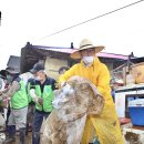 사자골천 연합뉴스