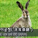 [오늘의 고사성어] 세이공청(洗耳恭聽) – 귀를 씻고 남의 말을 경청하다. 이미지