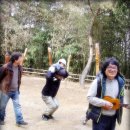 대숲향기 이미지